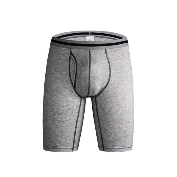 Hanrae Elastic Breathable Lift Shapewear Boxer Underwear